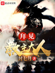 拜见教主大人小说的境界划分